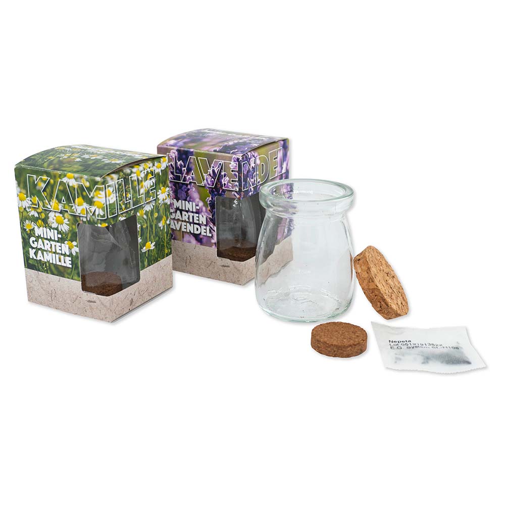 Glass jar with seeds
